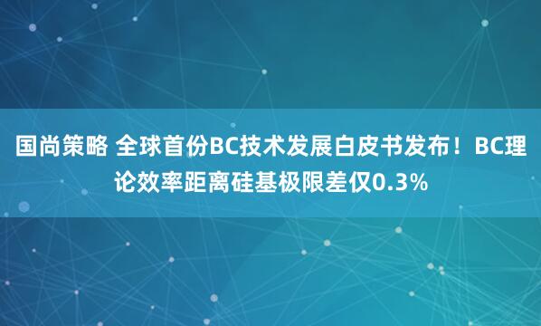 国尚策略 全球首份BC技术发展白皮书发布！BC理论效率距离硅基极限差仅0.3%