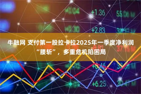 牛融网 支付第一股拉卡拉2025年一季度净利润“腰斩”，多重危机陷困局