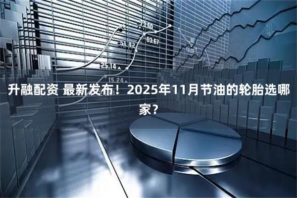 升融配资 最新发布！2025年11月节油的轮胎选哪家？