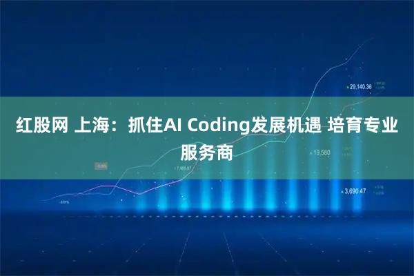 红股网 上海：抓住AI Coding发展机遇 培育专业服务商