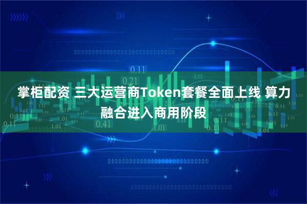 掌柜配资 三大运营商Token套餐全面上线 算力融合进入商用阶段