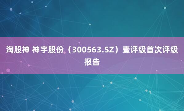 淘股神 神宇股份（300563.SZ）壹评级首次评级报告